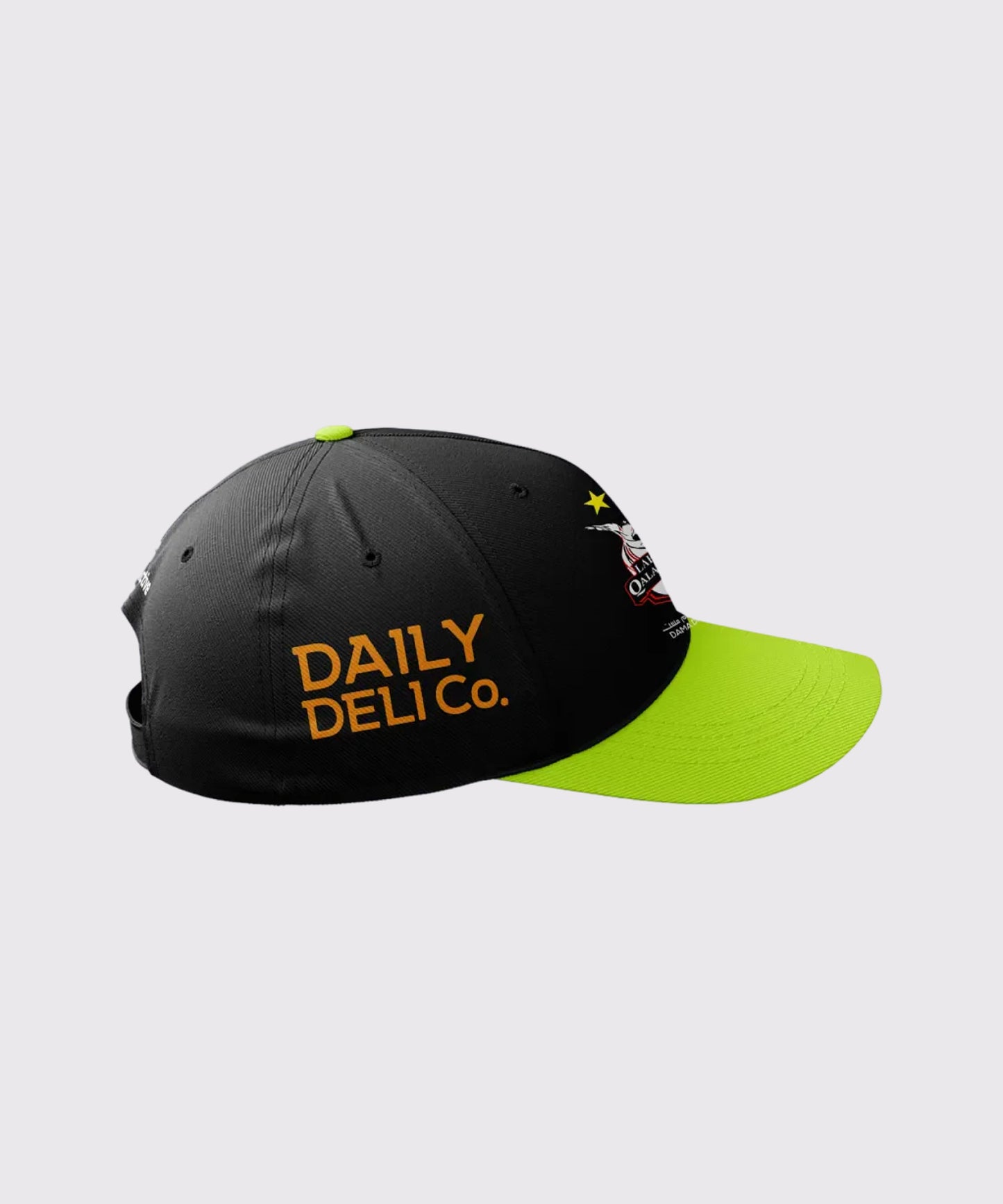 Lahore Qalandars PSL X Official Home Cap